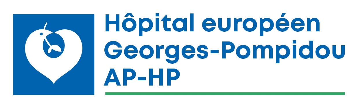 Logo Georges-Pompidou