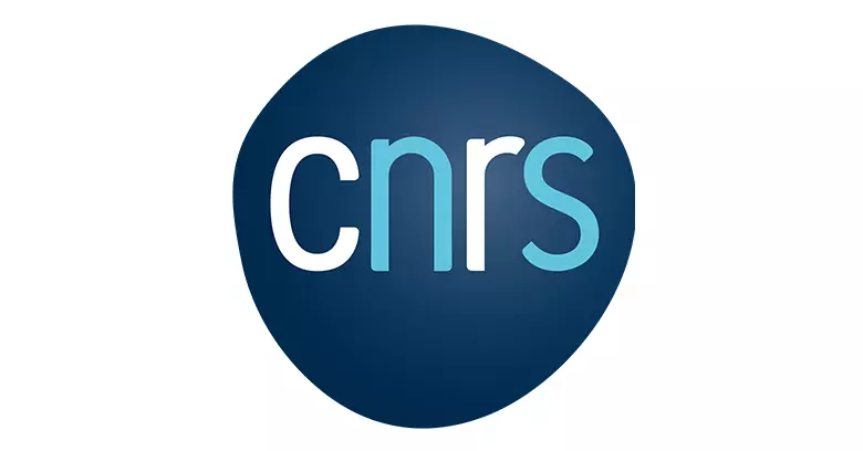 Logo CNRS